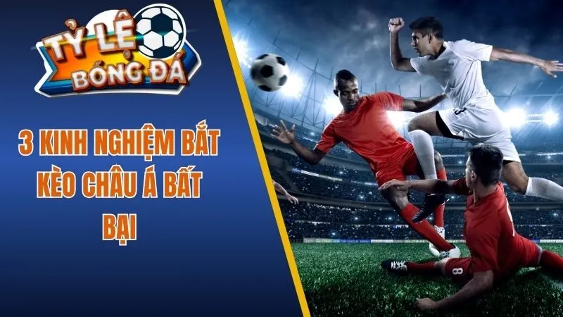 3 kinh nghiệm bắt kèo Châu Á bất bại