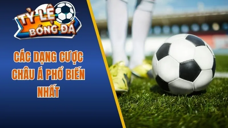 Các dạng cược Châu Á phổ biến nhất