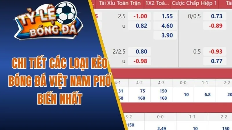 Chi tiết các loại kèo bóng đá Việt Nam phổ biến nhất