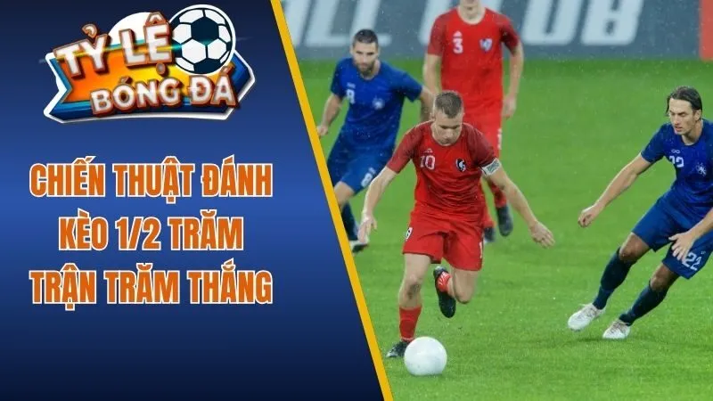 Chiến thuật đánh kèo 1/2 trăm trận trăm thắng