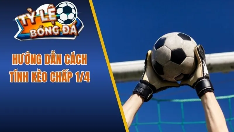 Hướng dẫn cách tính kèo chấp 1/4
