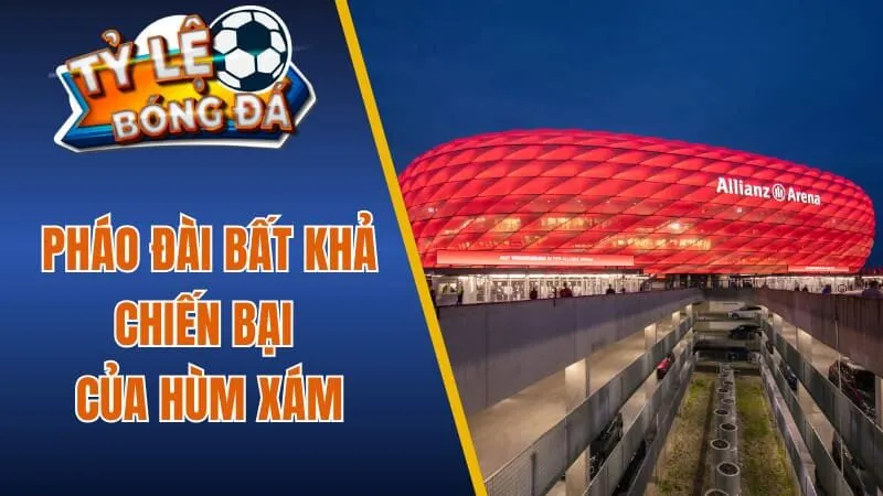 Pháo đài bất khả chiến bại của Hùm Xám