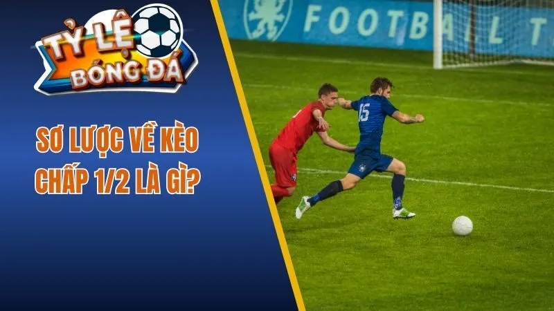 Sơ lược về kèo chấp 1/2 là gì?