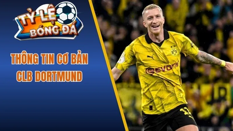 Chia sẻ thông tin về CLB Dortmund