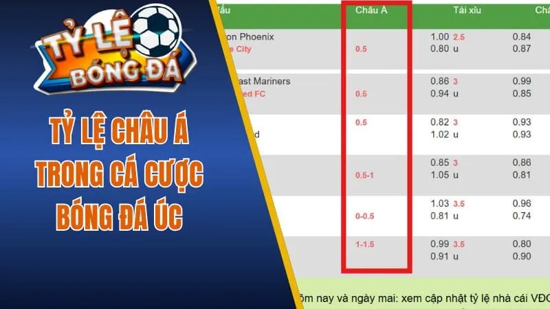 Tỷ lệ châu Á trong bóng đá Úc